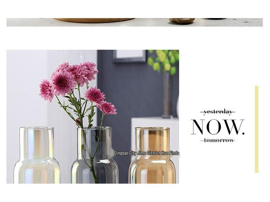 Transparent Minimalist Glass Vase for Office Decoration with Fresh or Dried Flowers