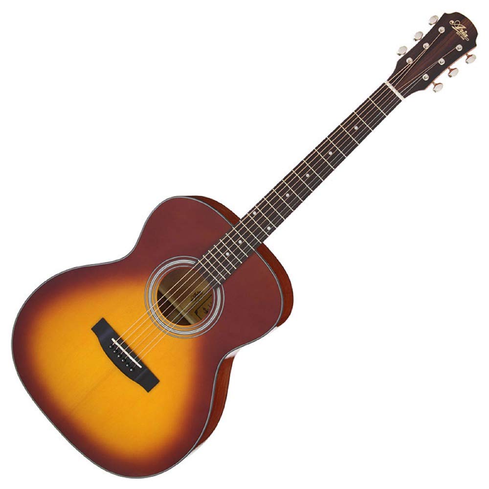 ARIA TS Acoustic Guitar Aria-201