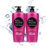 Silk Repair Perfect Shining Shampoo 1200ml X 2 TB (30680739)