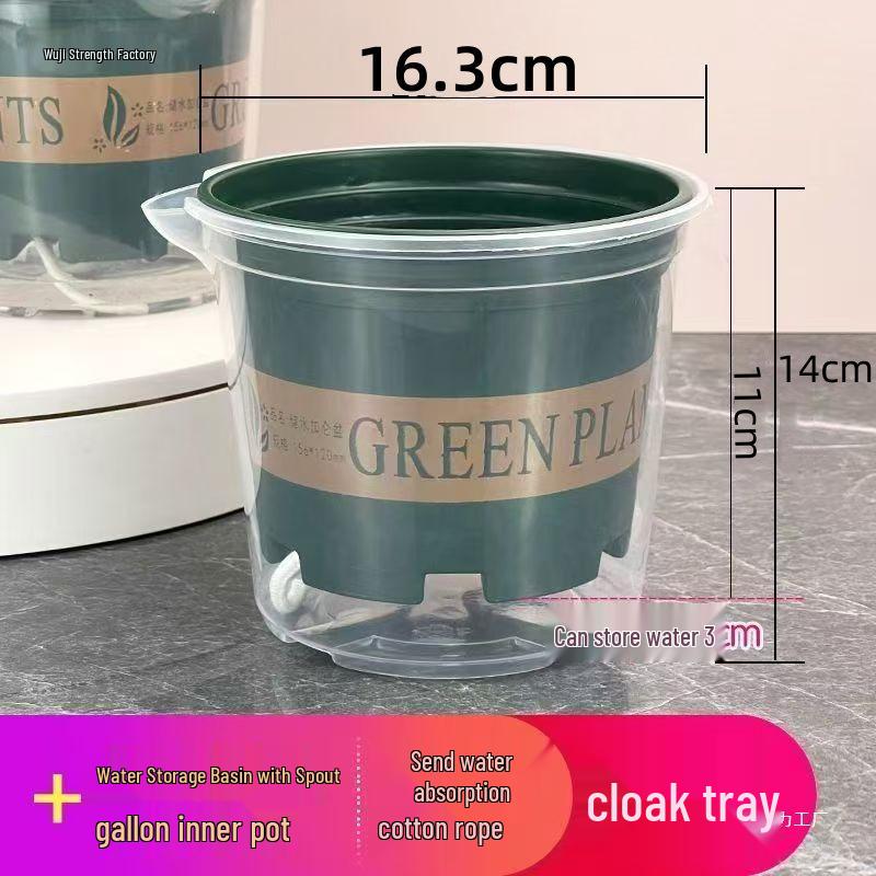 Pothos Indoor Self-Watering Planter with Double-Layer Design and Transparent Reservoir