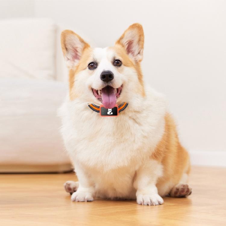Pet Navigation Tracking Device With Multiple Networking Compatibility And Real Time Location Updates For Active Children