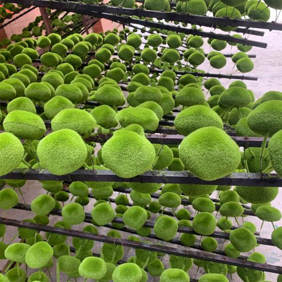 Artificial Moss Rocks Greenery Decorative Moss Covered Stone Fake Moss Decor for Floral Arrangement Fairy Garden Crafting
