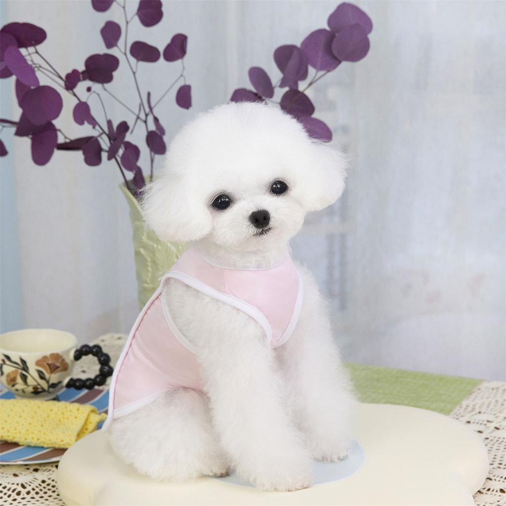 Hunde Kühlendes Einfarbiges Cooles Weste für Mittelgroße Große Hunde Weiche Einfarbige Bekleidung Cartoon Bär Pullover Frühling Schlafanzug