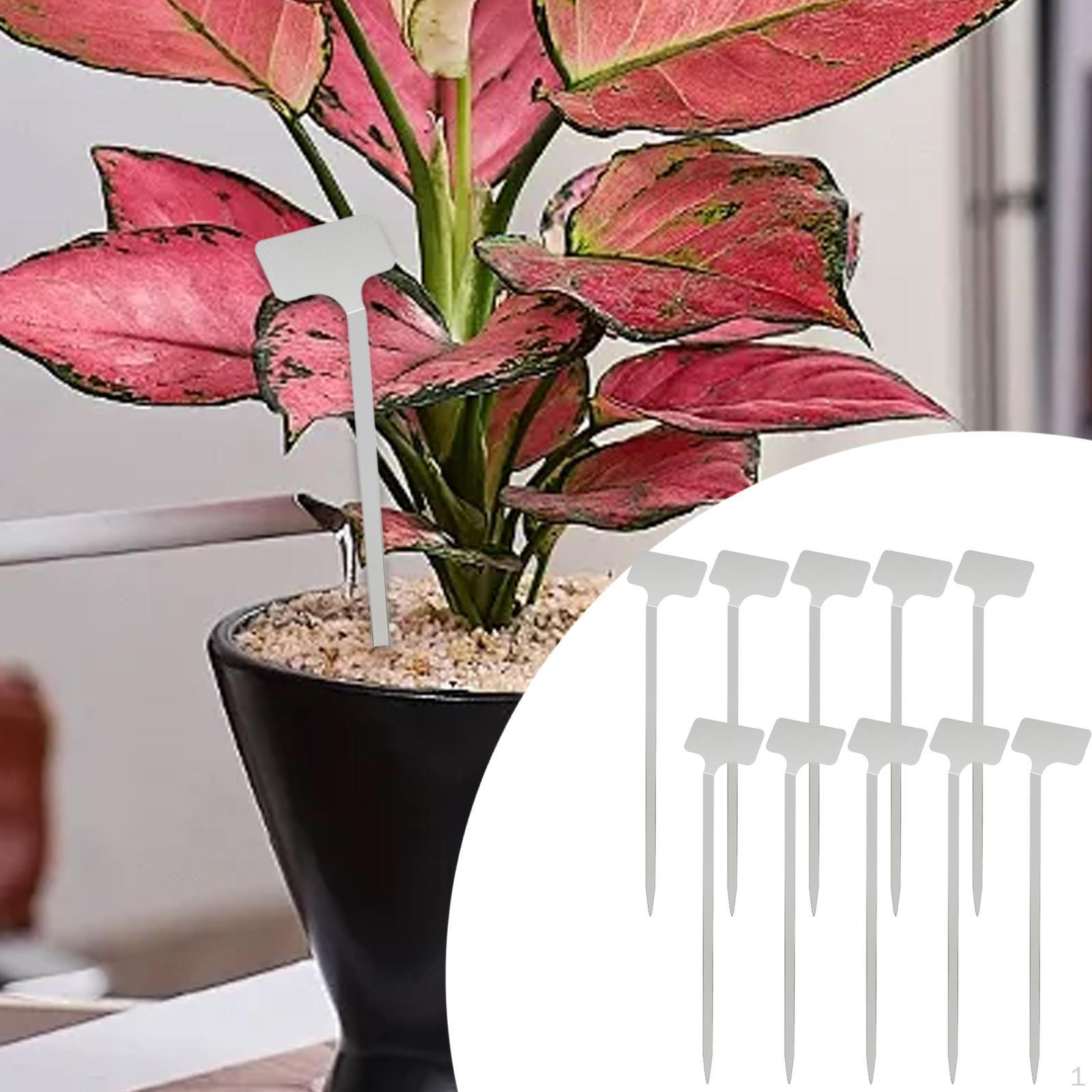 

10Pcs Metal Plant Labels Garden Label Markers Reusable Name Tags Stakes Nursery for