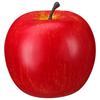 Fake Fruit Photo Prop Artificial Green Lifelike Foam Display Decoration Home Kitchen Wedding Showcase Props Decorative