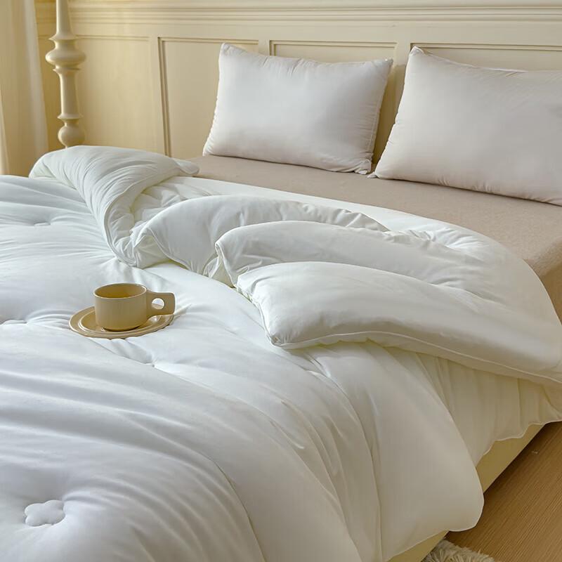 Muji Milk Silk Soft Quilt