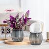1Pc Double Layer Transparent Self-Watering Plant Pot Automatic Flower Vase Plastic Home Decorations