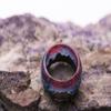 Purple Luminous Neutral Ring