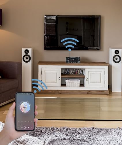 QuiExact Amplifier, Power Amplifier, Audio Amplifier, Compact, Bluetooth, Card Slot, USB Flash Drive, Radio Function, 60W, Remote Control, Mini Amplif