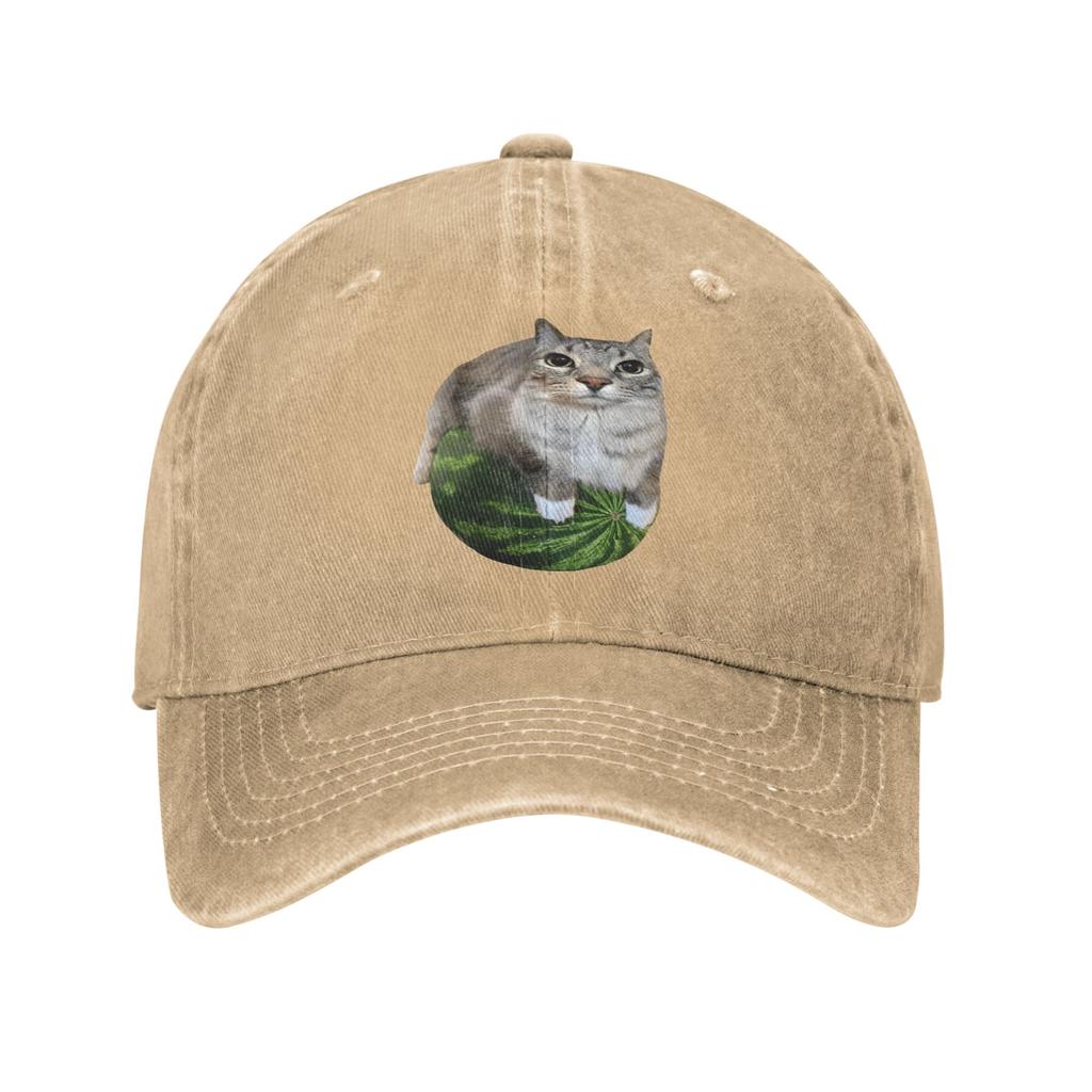 Vintage Watermelon Cat Silly Cat Meme Baseball Caps Unisex Style Distressed Washed Headwear Funny Outdoor Summer Soft Caps Hat