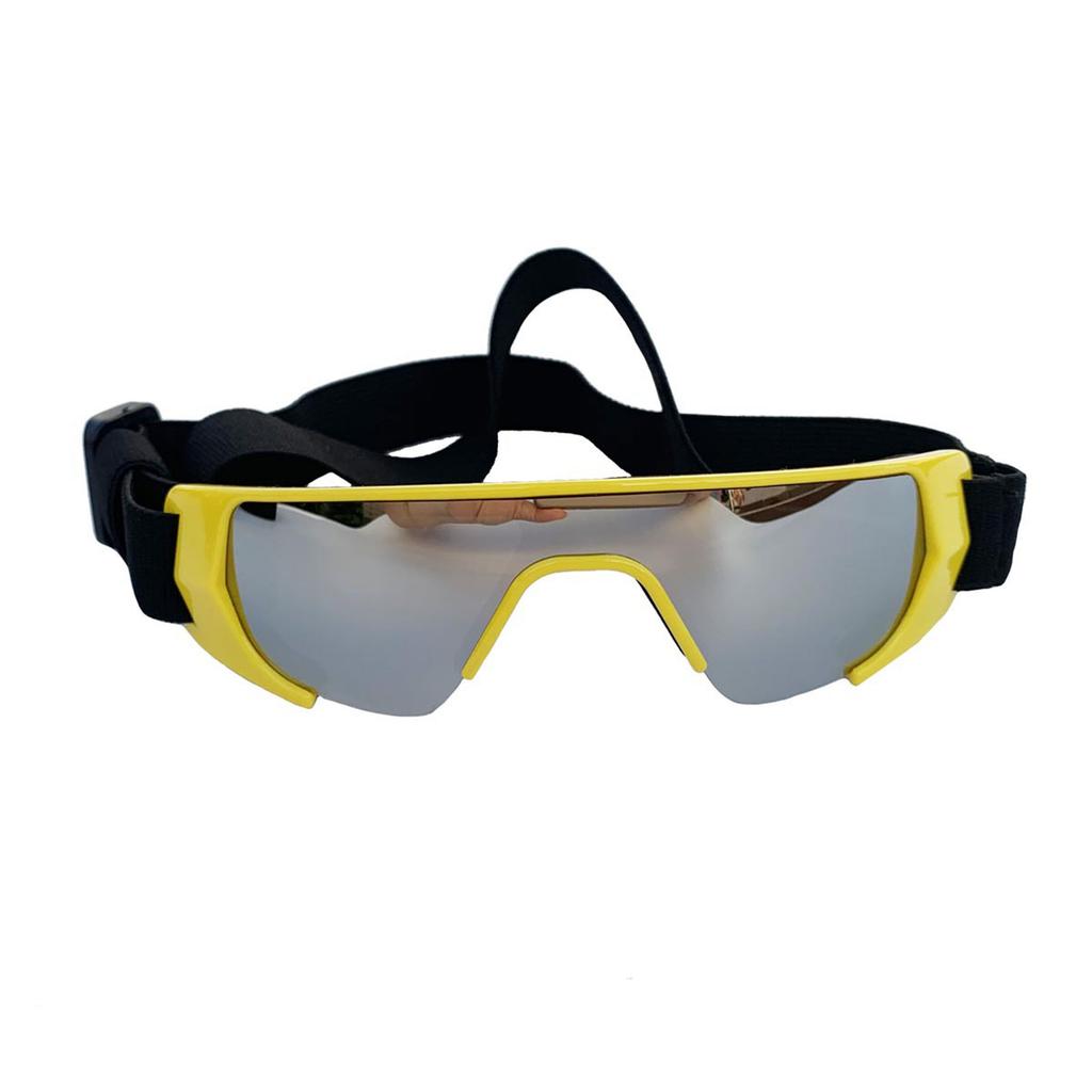 Pet Sunglasses Protections for Small Dogs for Northern Area with Adjustable Strap for Outdoor Sports