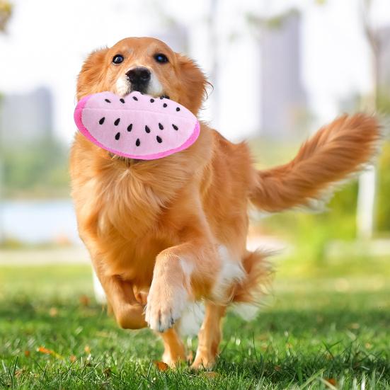 Dog Squeaky Plush Toy Watermelon Shape Teeth Cleaning Toy Interactive Stuffed Fruit Dog Chew Toy for Small Dogs