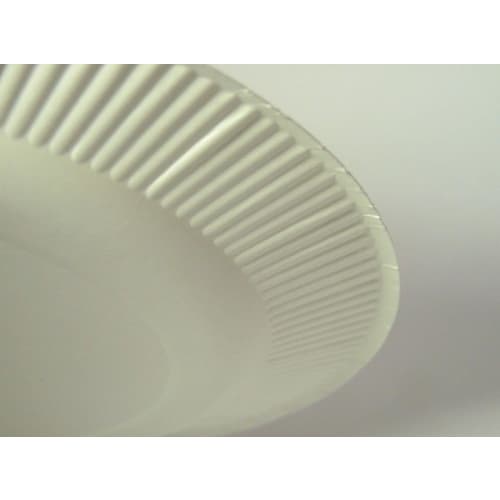 [Water-resistant Surface Treatment! Perfect for Outdoor Activities and Parties] 23cm Paper Plates, 8-count, Disposable, Made In Japan [Set of 2]