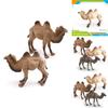 Desert Animal Pvc Figurine Twin Hump Camel Static Decor For Children Learning Play