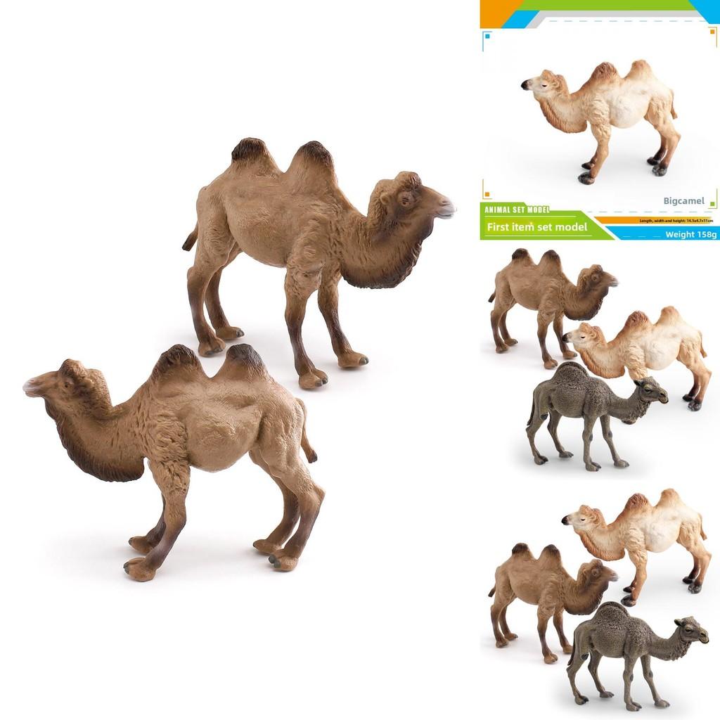 Desert Animal Pvc Figurine Twin Hump Camel Static Decor For Children Learning Play