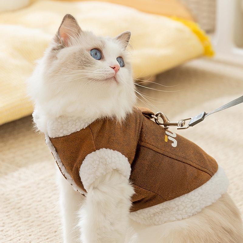 Pet clothing Autumn and winter cat lamb wool thickened warm into cat kittens hairless cat dog two-legged cat clothes