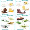 Detailed Insect Pvc And Animal Model Toys Snail Dragonfly Mosquito Grasshopper Realistic Life Stages Cycle