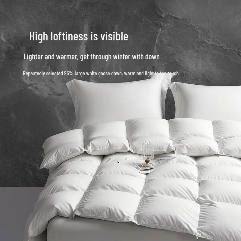 Boyang Class A Antibacterial 95% White Goose Down Quilt