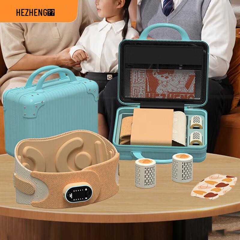 Hezheng Bi-directional Vibrating Waist Massager