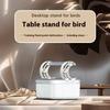 Pet Supplies Parrot Stand Pole Fixed Point Defecation Special Bird Desktop Stand Frosted Toy Supplies