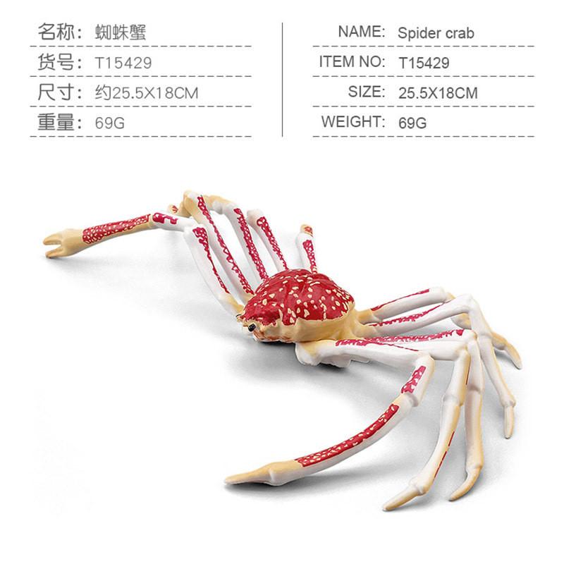 Realistic Children's Ocean Animal Crab Model Featuring Majestic King Crab And Spider Crab