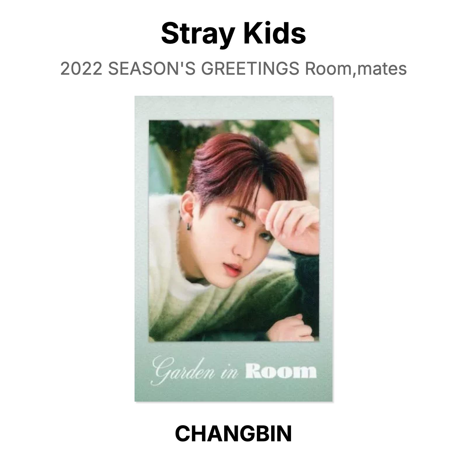 Stray Kids 2022 SEASON S GREETINGS Комната, mates Официальная Фотокарточка CHANGBIN