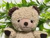 [USED] Sun Arrow Bear Plush Toy Teddy Bear