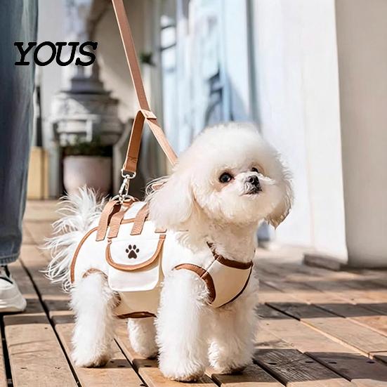 Accessorio Portatile Traspirante per Animali da Viaggio, Trasportino Portatile a Tracolla 2-in-1 Orizzontale Robusto per Gatti, Borsa Stile Guinzaglio per Cani Piccoli
