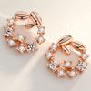 Elegant Rose Gold Leaf Garland Earrings, Silver Needle Fashion Jewelry For Women Fine Gift & Matching