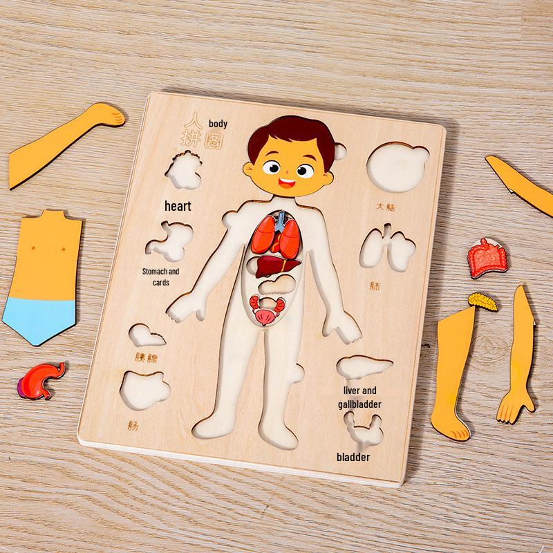 Wooden Human Anatomy Puzzle for Infants and Toddlers - Educational Toy for Self-Awareness and Science Learning