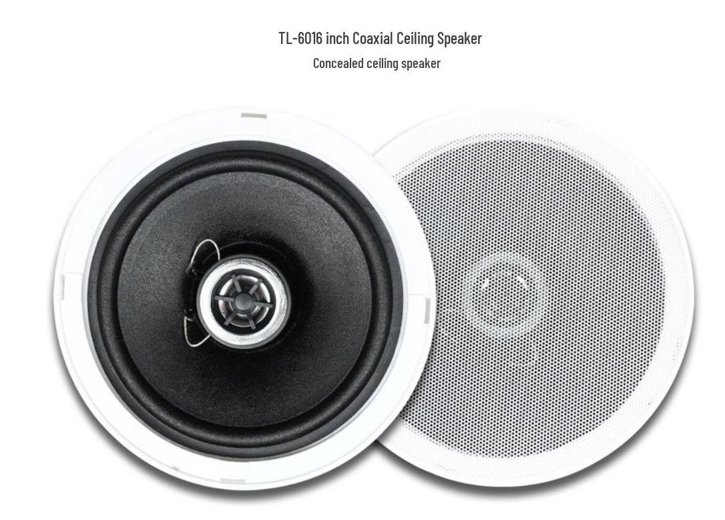 Tianlai 6-Inch Coaxial Ceiling-Mounted Speaker for Home & Commercial Use