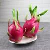 Artificial Dragon Fruit Home Decor & Photography Prop