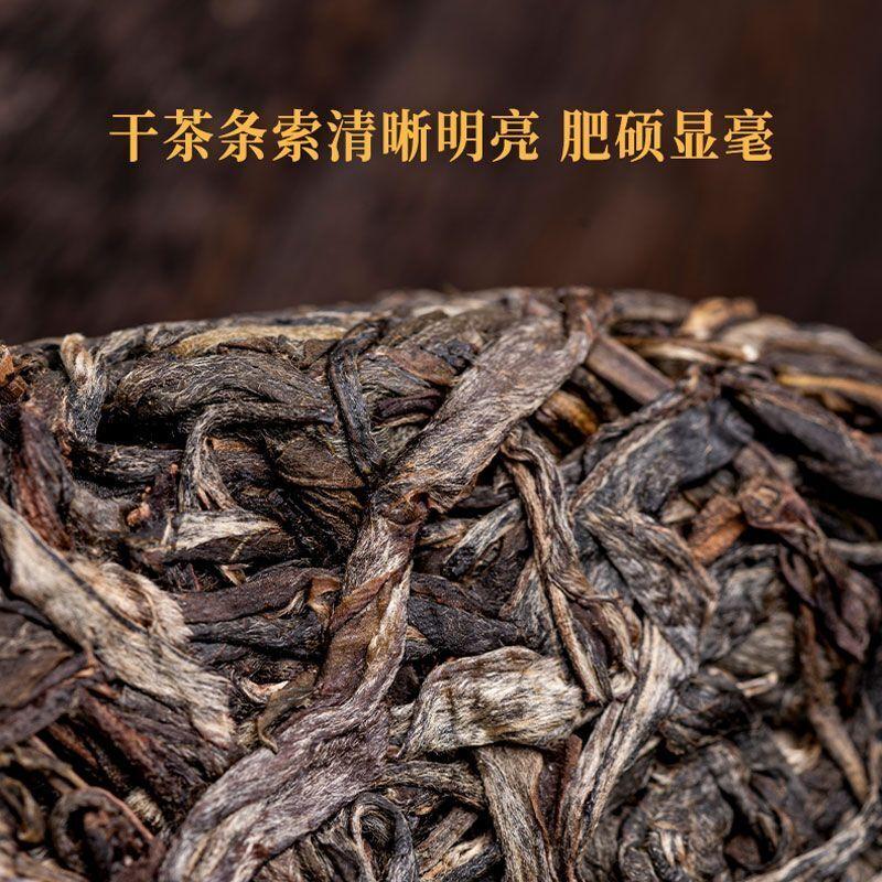 Yunnan Ancient Tree Puerh Tea Raw Tea Golden Melon Tribute Tea Yiwu 500g