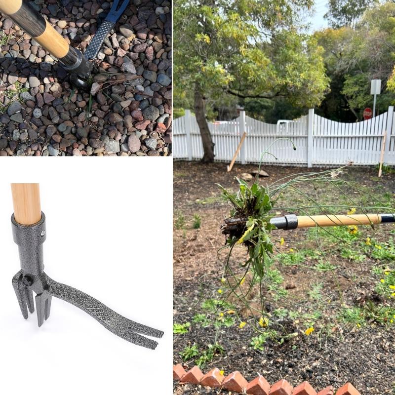 Garden Hand Weeding Tool with Long Handle and 4 Claw Head 3 Sectional Poles for Weeds Puller Removal Without Bending