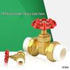PPR Double Union Brass Gate Valve