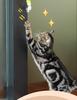 Electric Bite-Resistant Self-Playing Cat & Dog Teasing Toy Egg with Hanging Teaser Stick