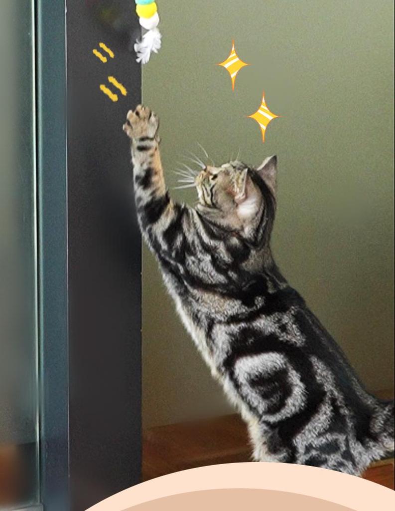 Electric Bite-Resistant Self-Playing Cat & Dog Teasing Toy Egg with Hanging Teaser Stick