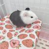 Hamster Winter Bed Warm Cave Cozy Hideout Bottomless House Cute Print for Small Animals Ferrets Playing Sleeping