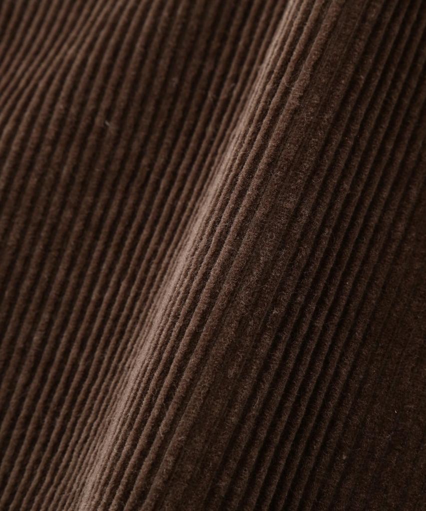 AVIREX WEB&DEPOT Exclusive CORDUROY PAINTER PANTS Men's 2XL 050 Brown 783-5210020