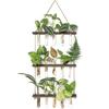3 Tiered Wall Hanging Terrarium with Wooden Stand Mini Test Tube Flower Vase Glass Planter Stations for Hydroponic Cutting