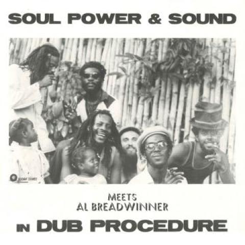 

LP Record SOUL POWER SOUND AL BREADWINNER - In Dub Procedure HS38 Hornin Sounds 2022 Europe Reggae Ska Dub
