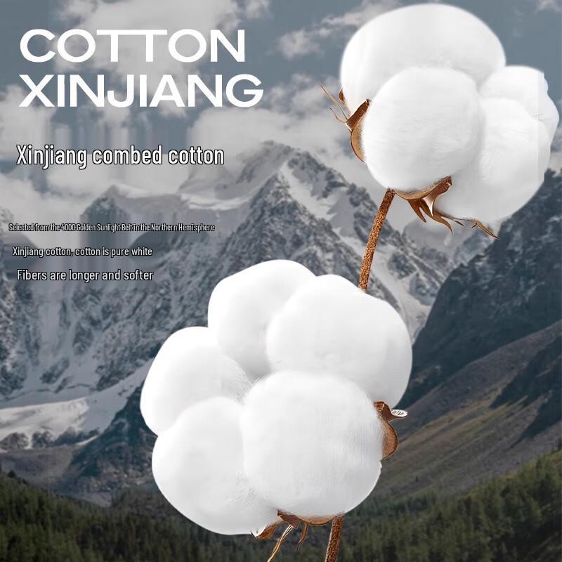 Langsha Men's Plus Size Cotton Boxer Briefs