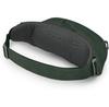 Рюкзак Osprey Daylite Waist green belt/green canopy