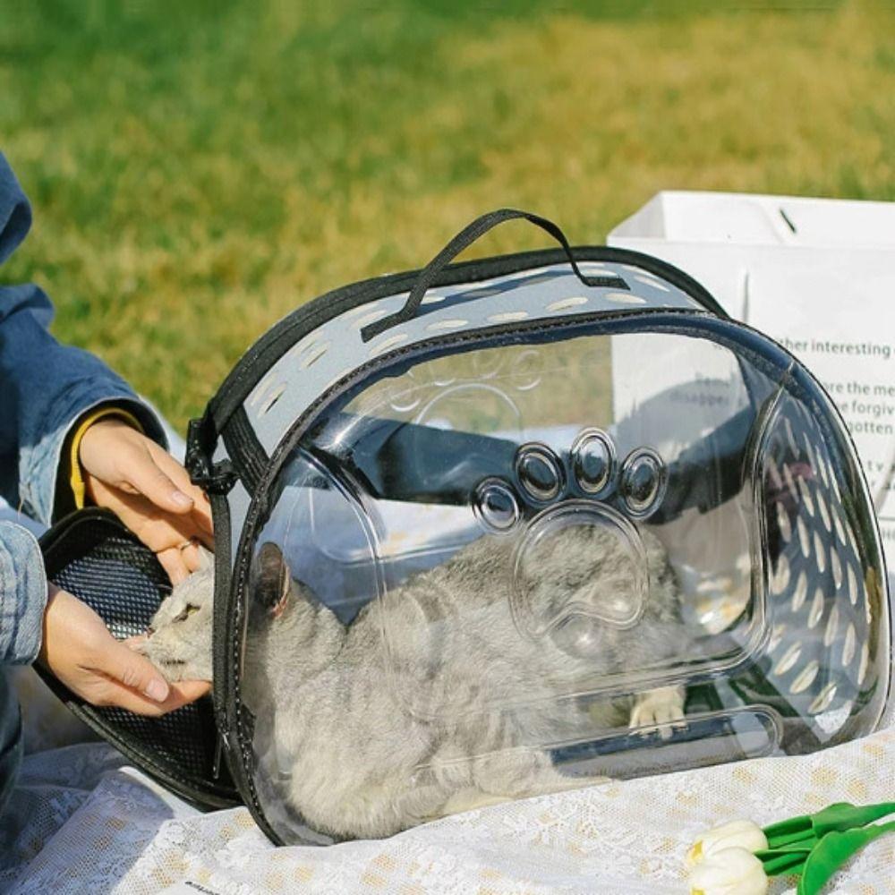 Foldable Cat Backpack Portable Pet Outing Bag Small Dog Transparent Pet Bag  Outdoor Travel
