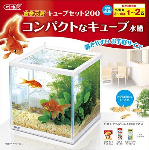 GEX Goldfish Genki Cube Set, Aquarium Size: Approx. W20 x D20 x H20cm, Water Capacity: Approx. 6L, White Frame Width: 20cm