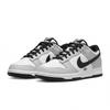 Nike Dunk Skateboard Shoes Men's Low top Gray DD1391-100(Team399-)