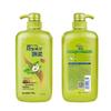 Rejoice Family Care Green Tea Oil Control Shampoo