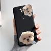 For Xiaomi Mi 9T Case Mi9T Pro Cute Astronaut Butterfly Cover Silicone Phone Case For Xiaomi Mi 9T Pro 9TPro Soft Fundas Coque