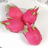 1/2Pcs Simulation Dragon Fruit Squeeze Toy Stress Relief Dragonfruit Squeeze Toy Decompression Fruit Shape Sensory Fidget Toy