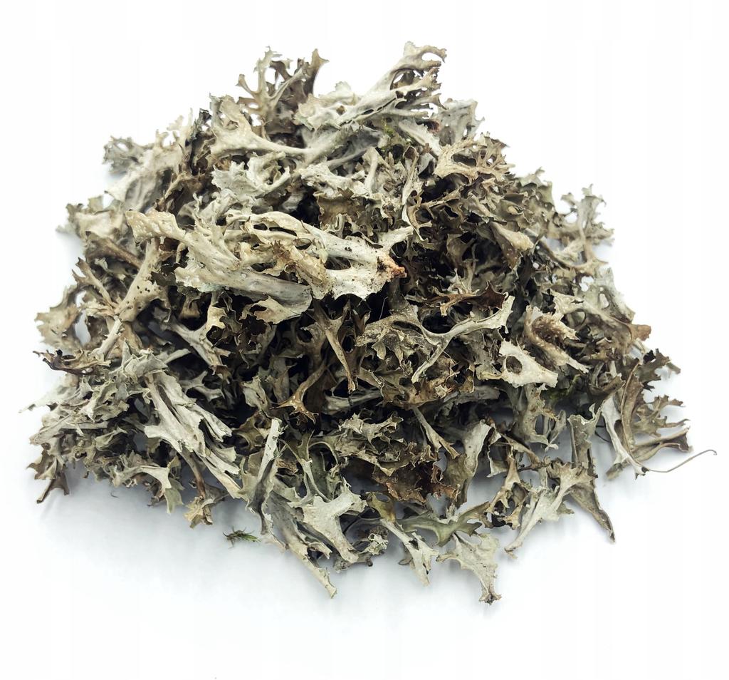 Icelandic Lich 1 Kg 100% Natural